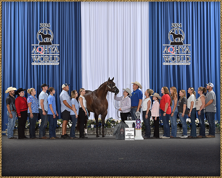 Quarter Horse Show Barn