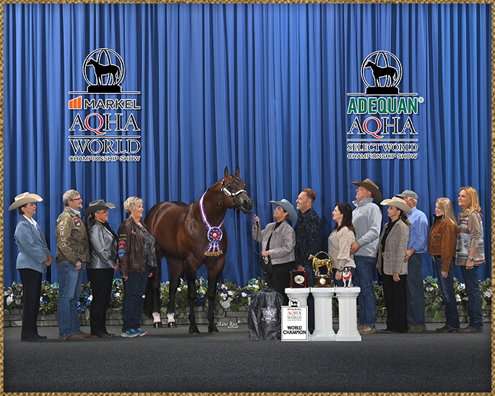 Quarter Horse Show Barn
