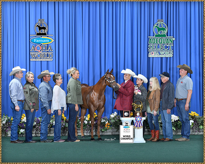 Quarter Horse Show Barn